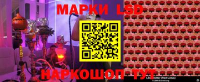 СК Вязьма