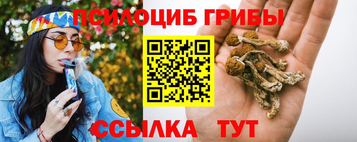 Псилоцибиновые грибы прущие грибы Кирово-Чепецк